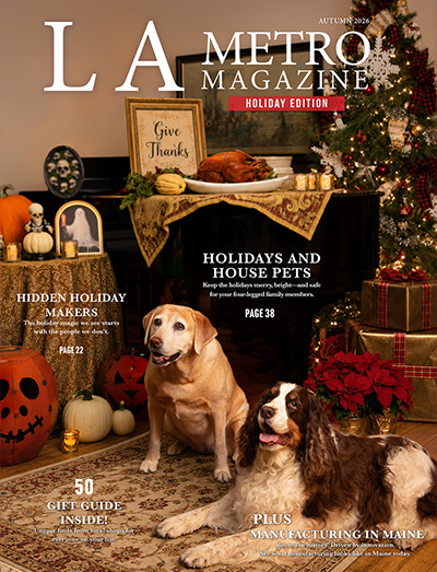 LA Metro Magazine - Autumn 2026